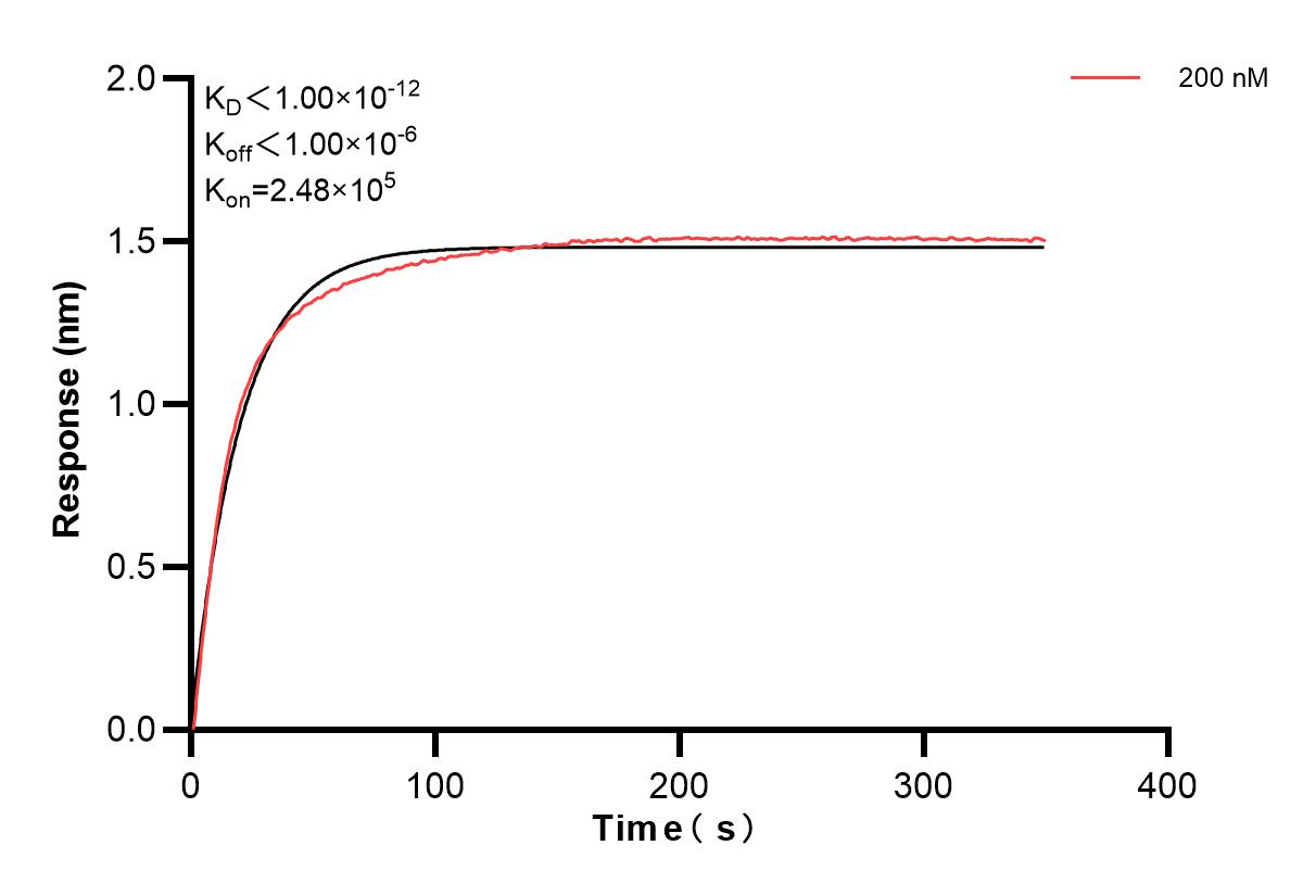 Affinity and Kinetic Characterization of 82900-2-PBS