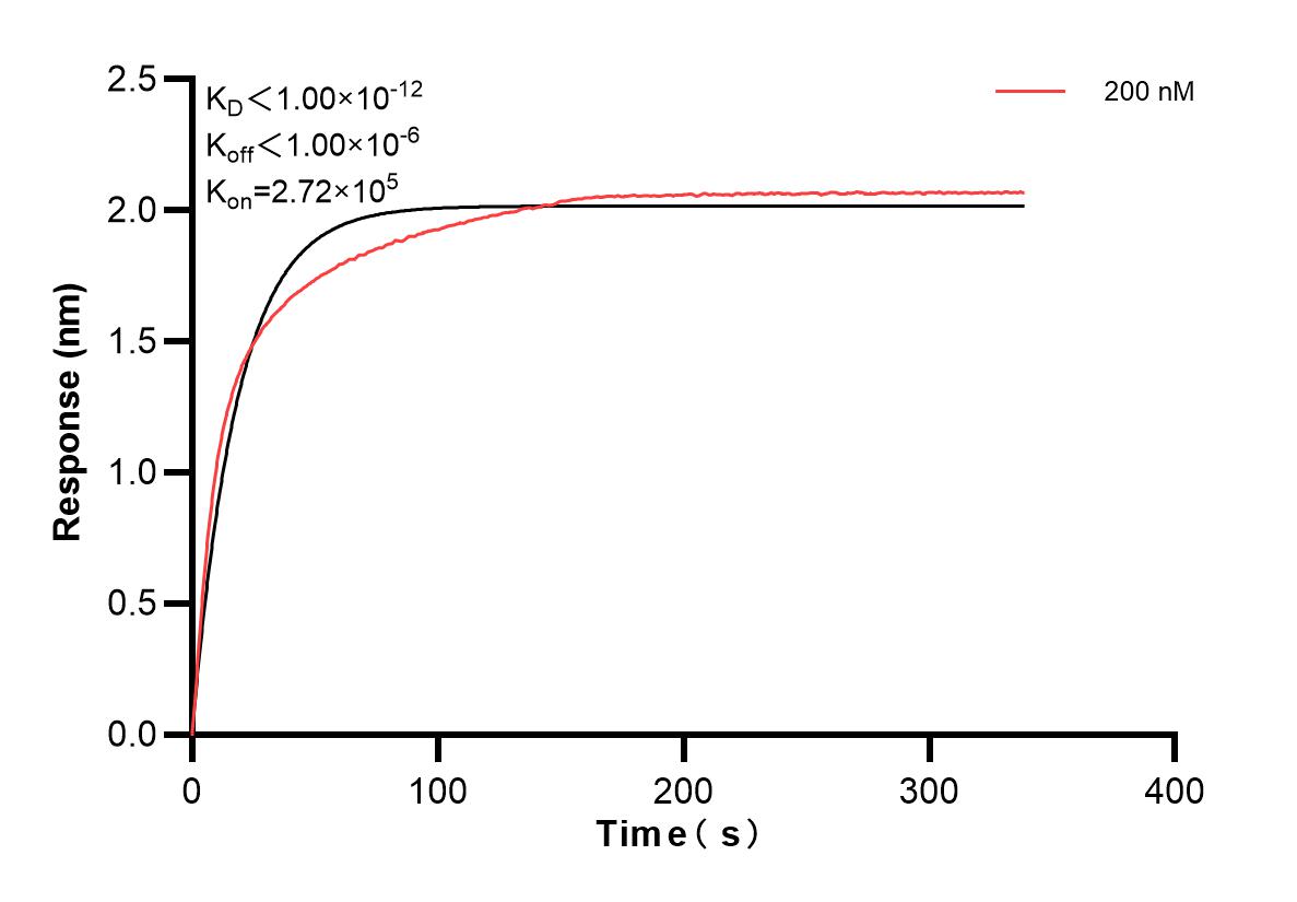 Affinity and Kinetic Characterization of 82900-4-PBS