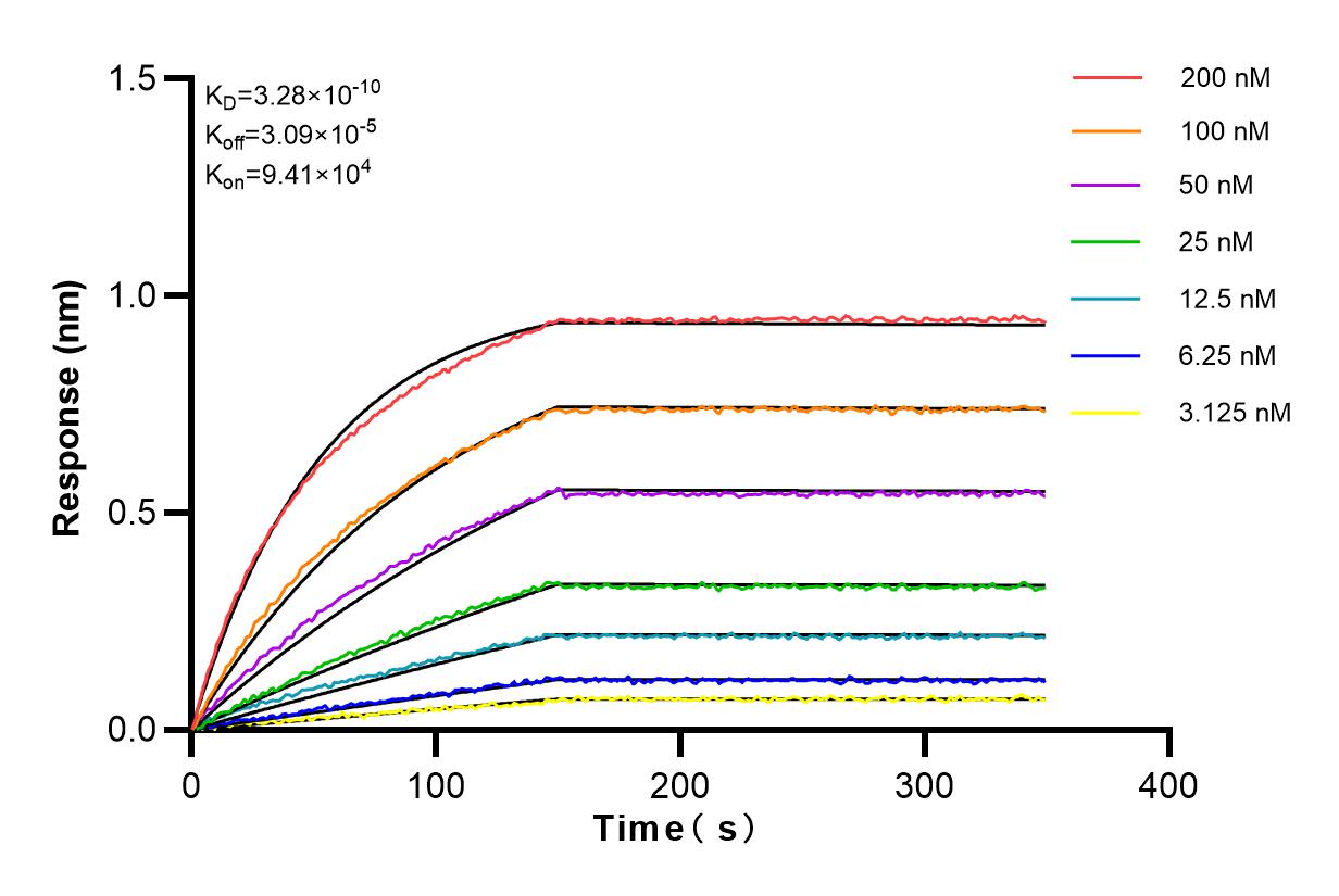 Affinity and Kinetic Characterization of 82912-5-RR