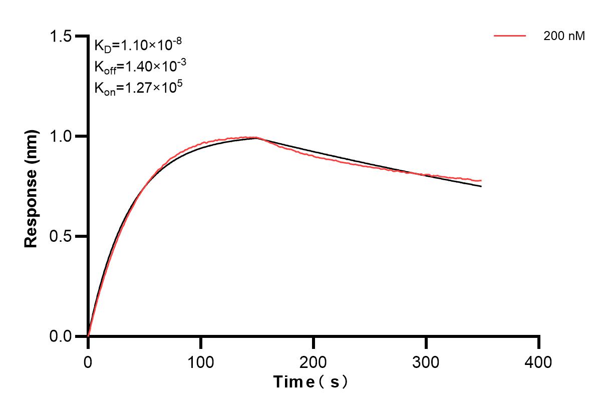 Affinity and Kinetic Characterization of 82914-2-PBS