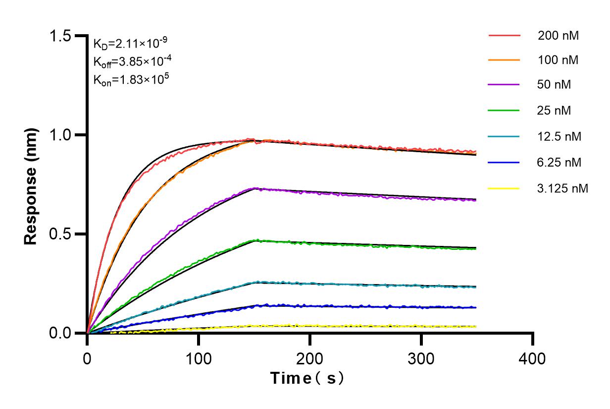 Affinity and Kinetic Characterization of 82931-5-RR