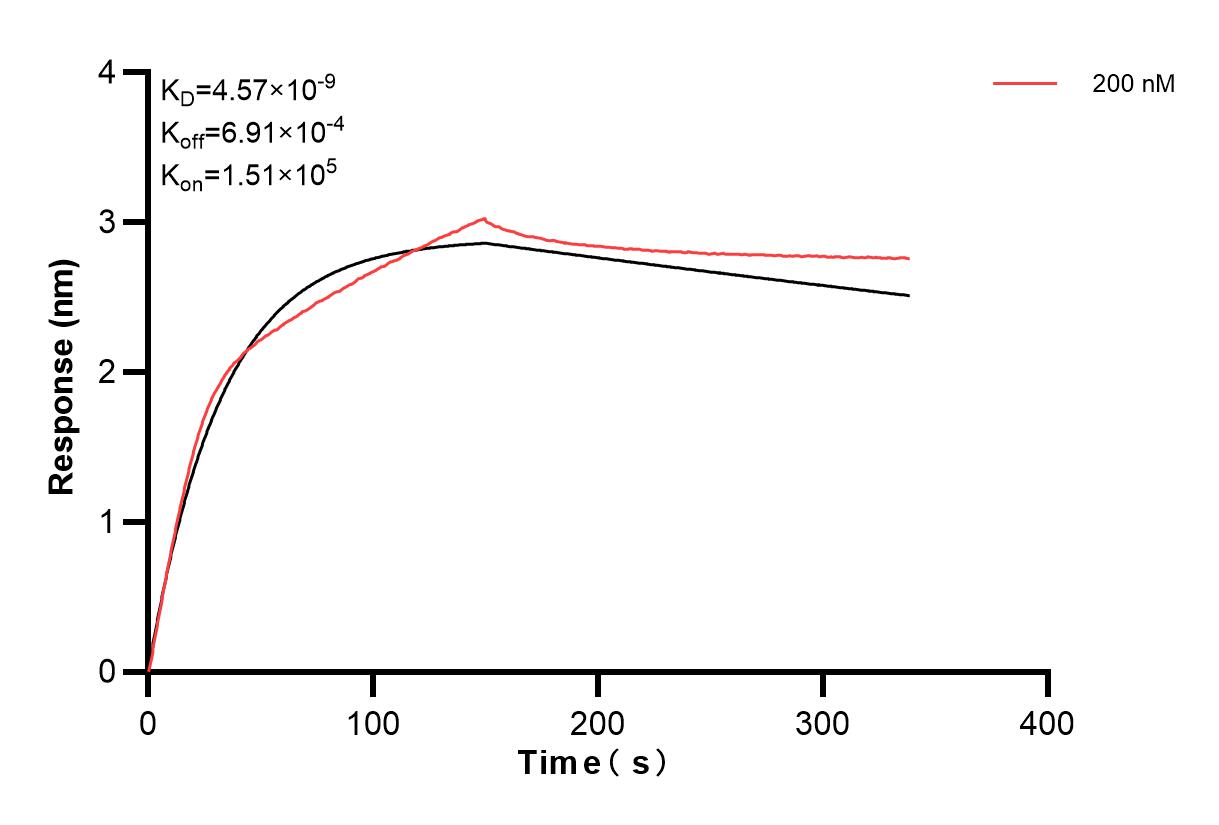 Affinity and Kinetic Characterization of 82936-3-PBS