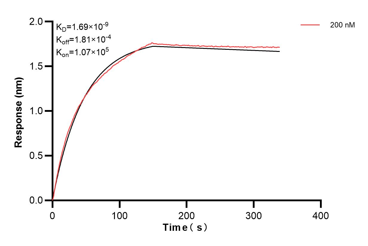 Affinity and Kinetic Characterization of 82936-4-PBS