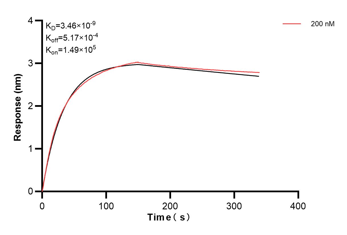 Affinity and Kinetic Characterization of 82936-6-PBS