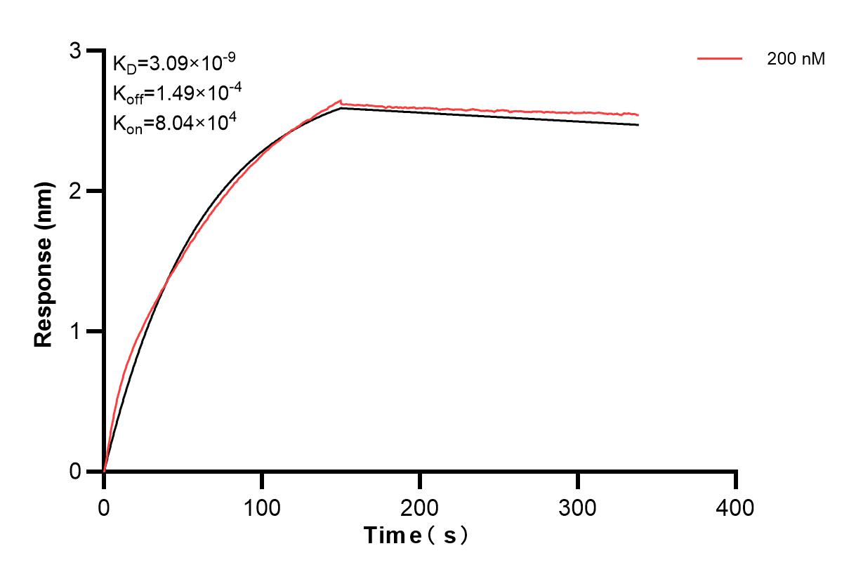 Affinity and Kinetic Characterization of 82936-7-PBS