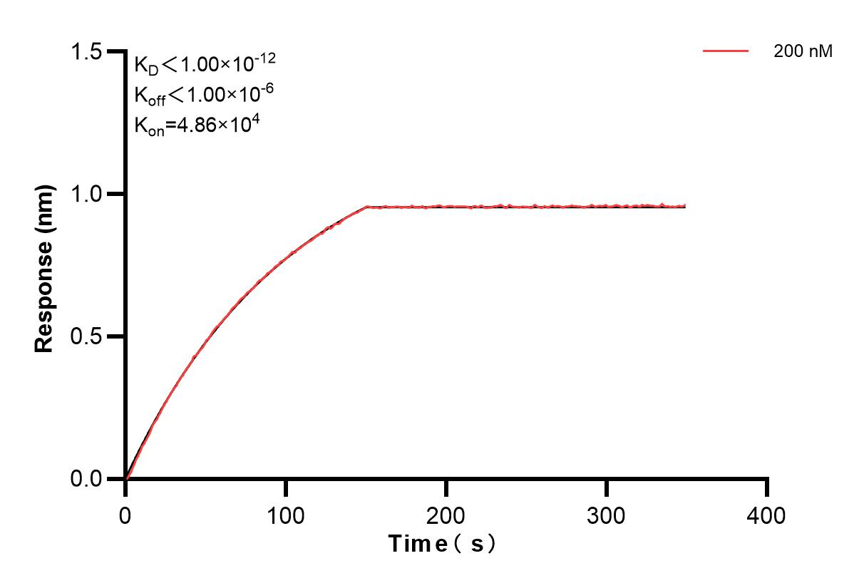 Affinity and Kinetic Characterization of 82940-1-PBS
