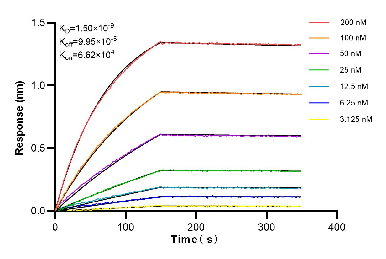 Affinity and Kinetic Characterization of 82940-2-RR