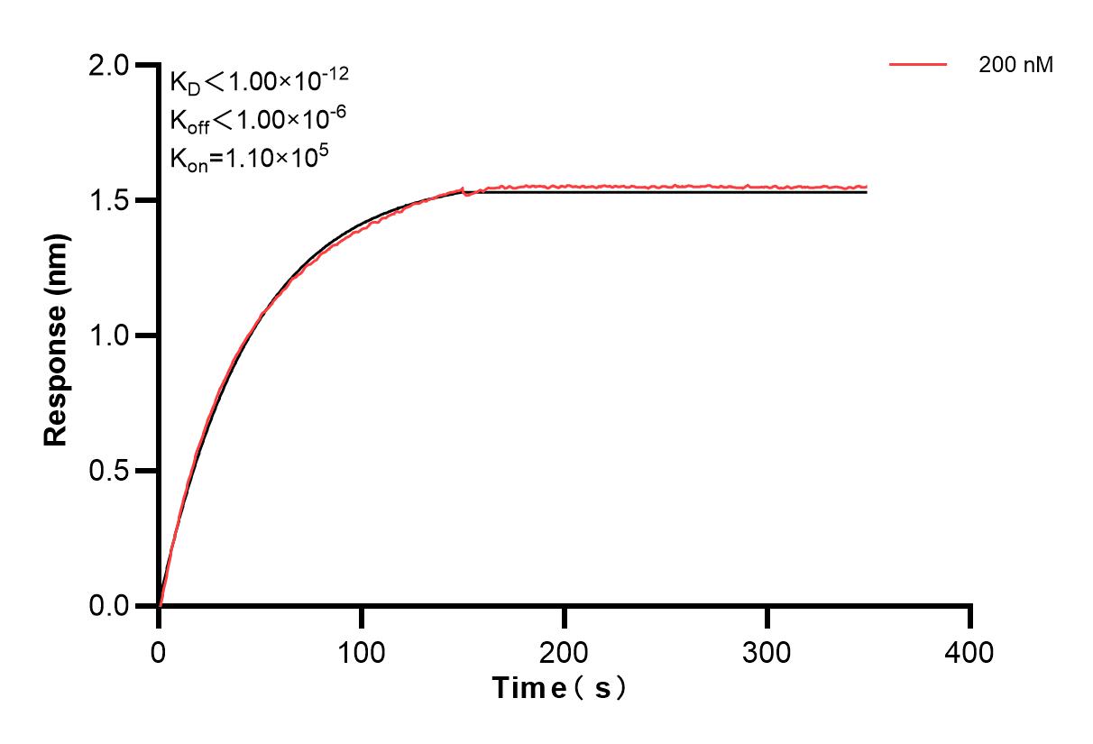 Affinity and Kinetic Characterization of 82940-4-PBS