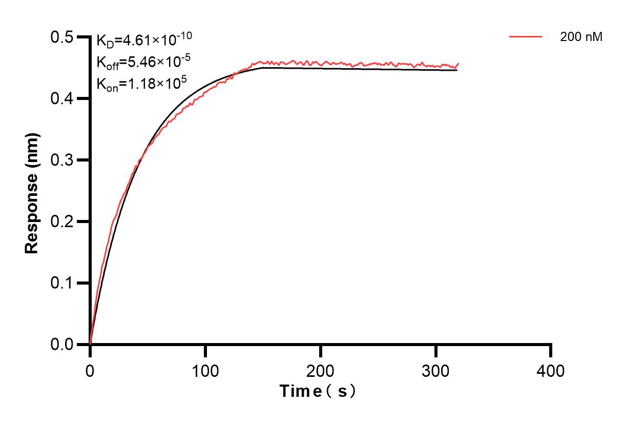 Affinity and Kinetic Characterization of 82942-3-PBS