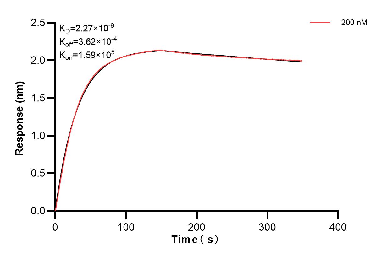 Affinity and Kinetic Characterization of 82942-5-PBS