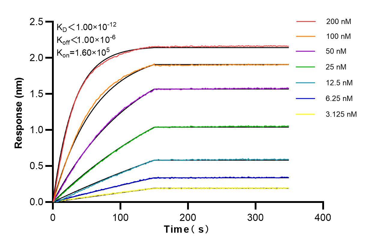 Affinity and Kinetic Characterization of 82947-7-RR