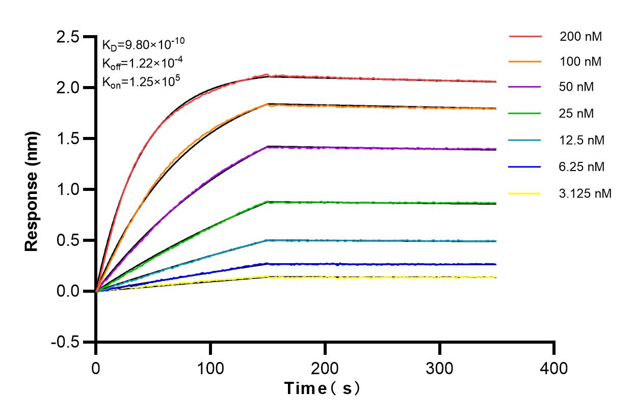 Affinity and Kinetic Characterization of 82959-7-RR