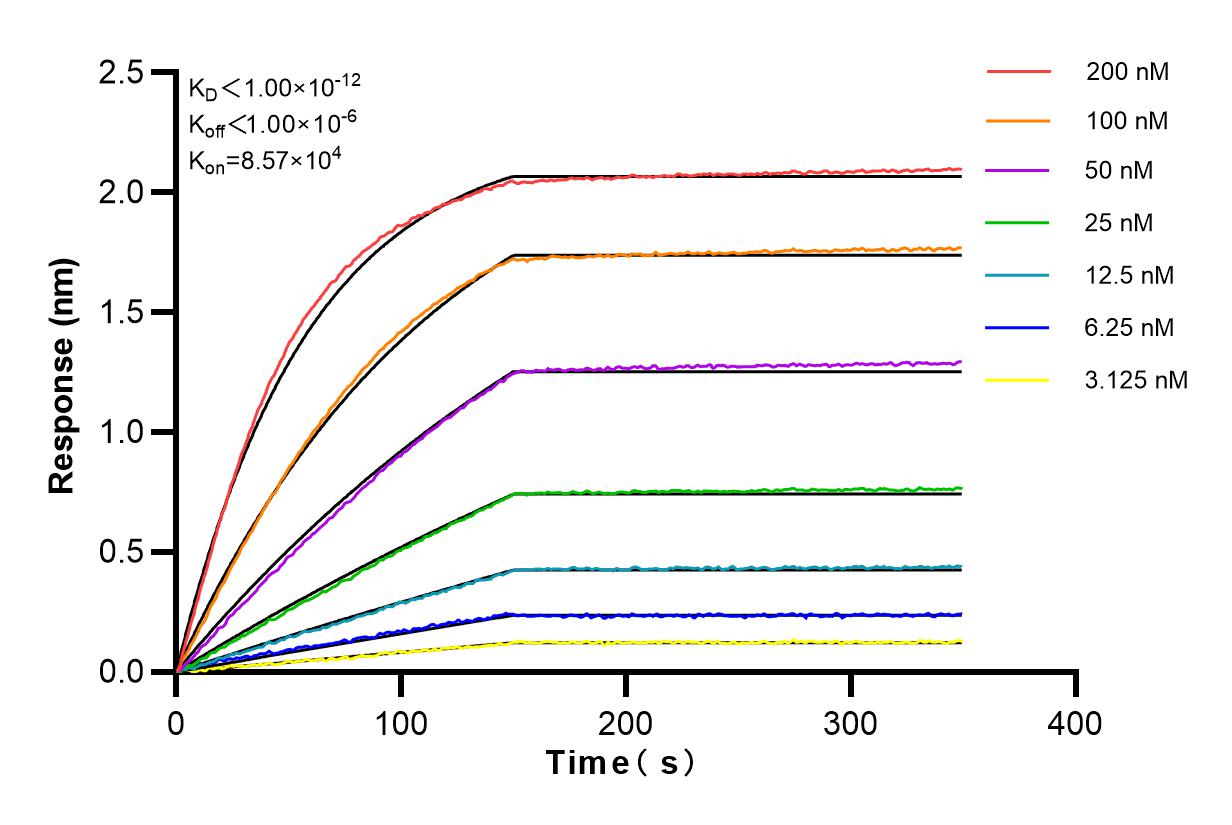 Affinity and Kinetic Characterization of 82960-1-RR