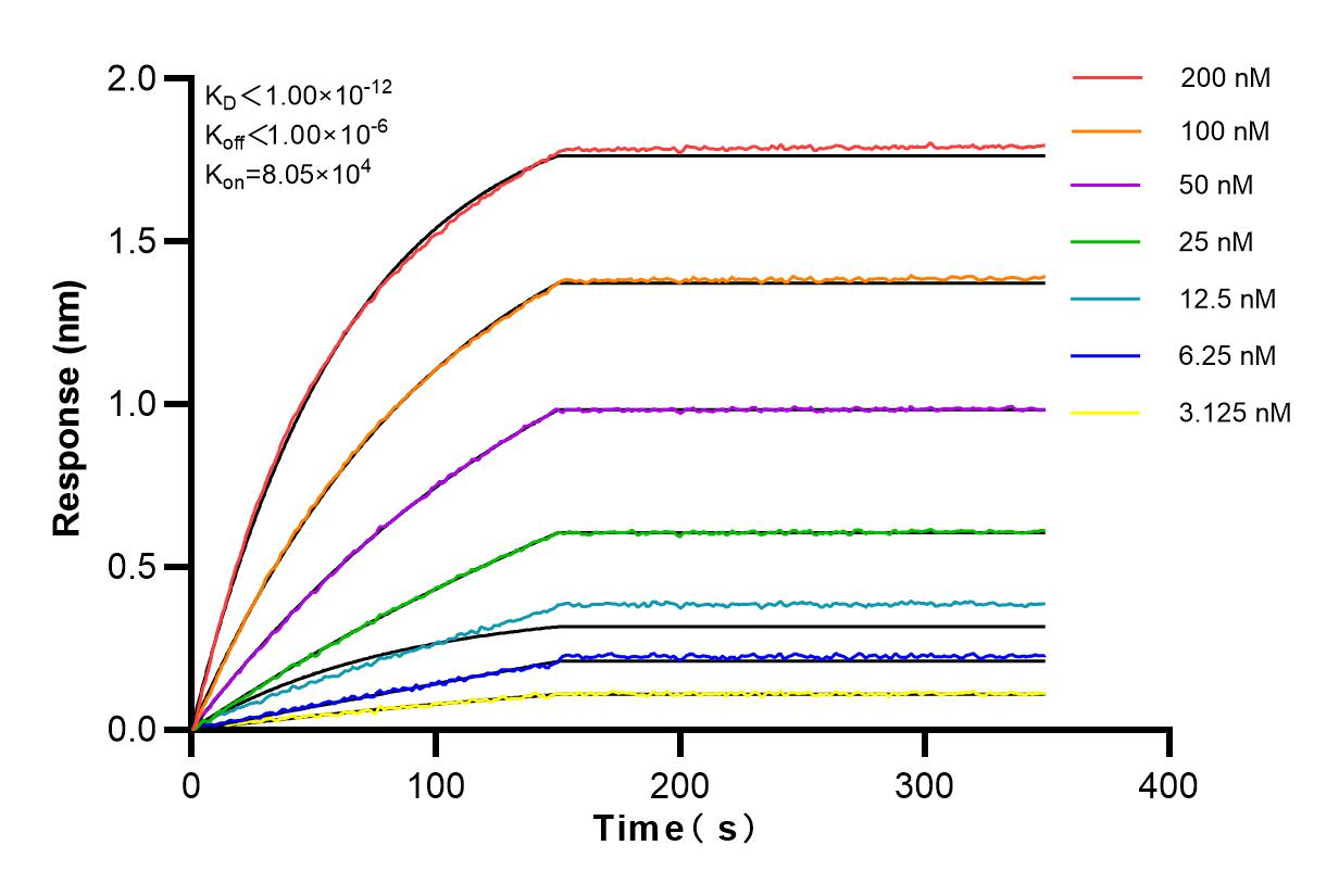 Affinity and Kinetic Characterization of 82963-1-RR