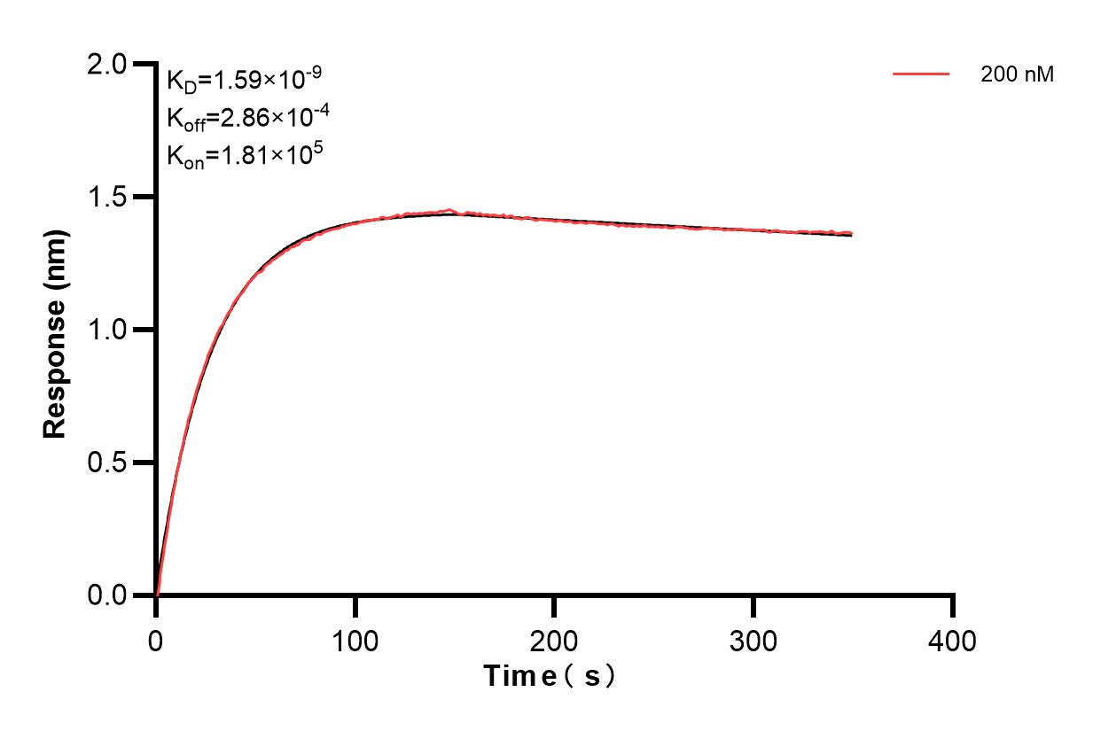 Affinity and Kinetic Characterization of 82973-1-PBS