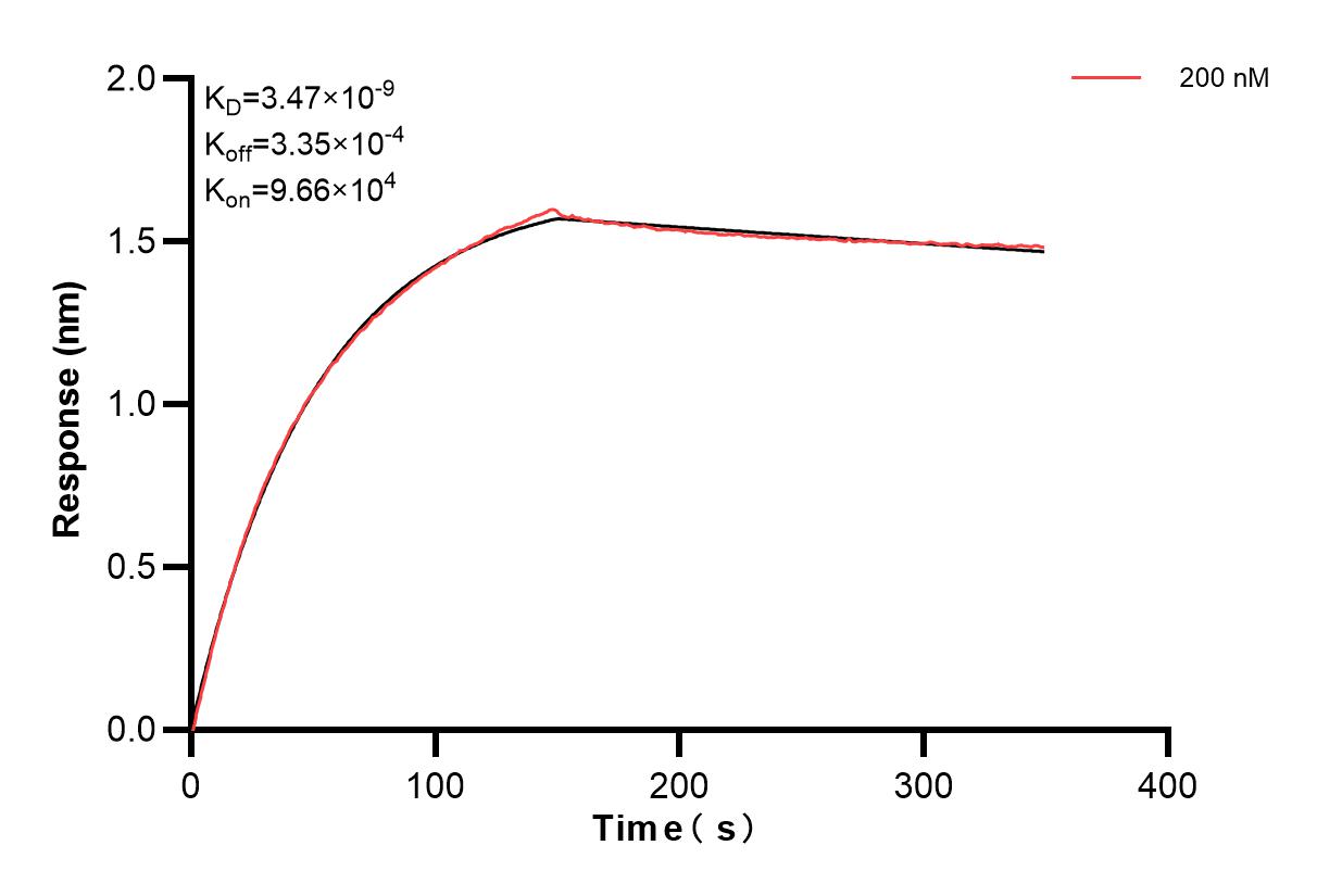 Affinity and Kinetic Characterization of 82973-3-PBS