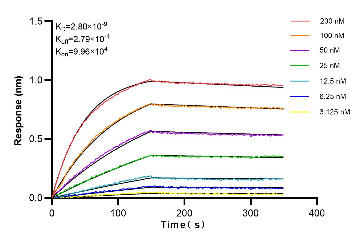 Affinity and Kinetic Characterization of 82982-6-RR