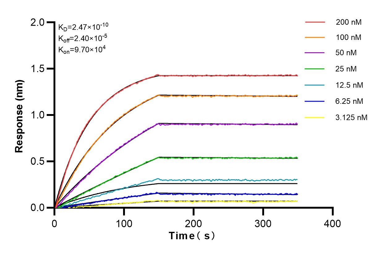 Affinity and Kinetic Characterization of 82992-2-RR