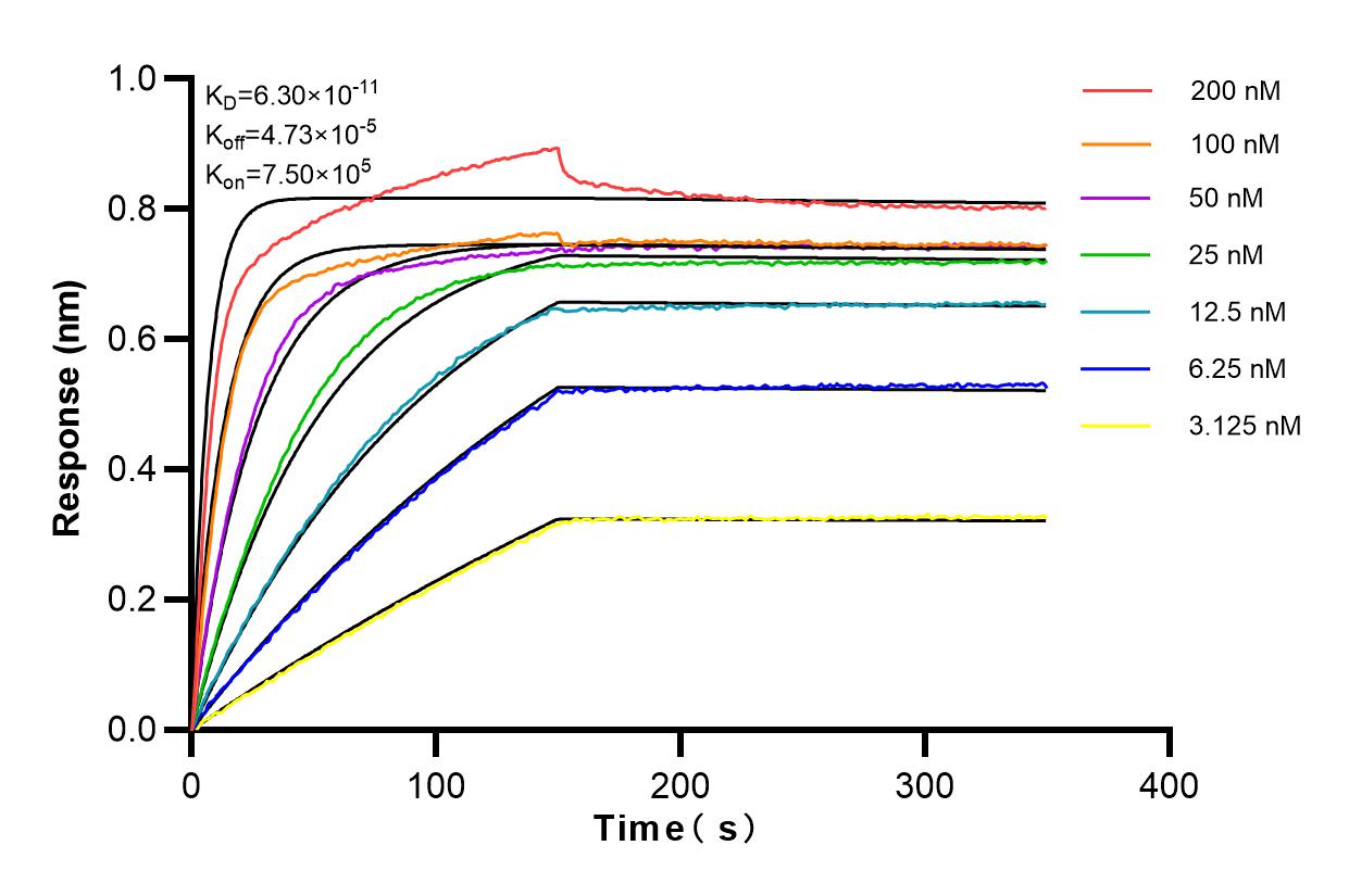 Affinity and Kinetic Characterization of 82996-3-PBS