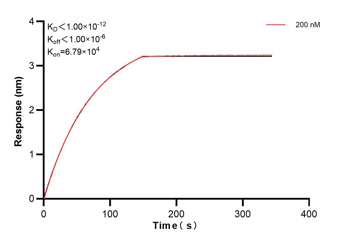 Affinity and Kinetic Characterization of 83003-2-PBS