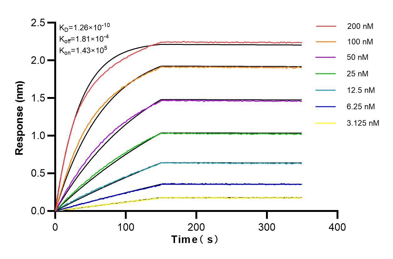 Affinity and Kinetic Characterization of 83020-1-RR