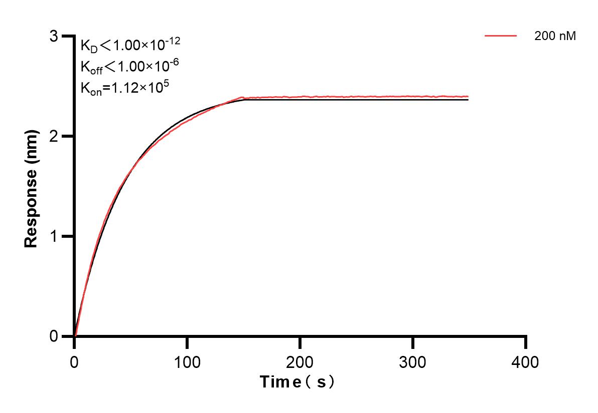 Affinity and Kinetic Characterization of 83020-2-PBS