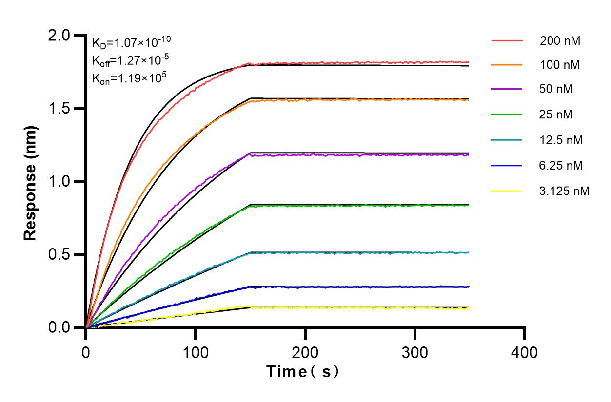 Affinity and Kinetic Characterization of 83020-2-RR