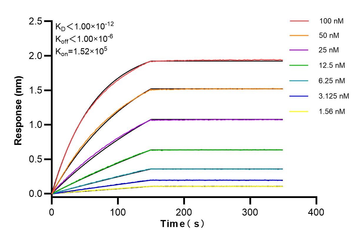 Affinity and Kinetic Characterization of 83038-4-RR