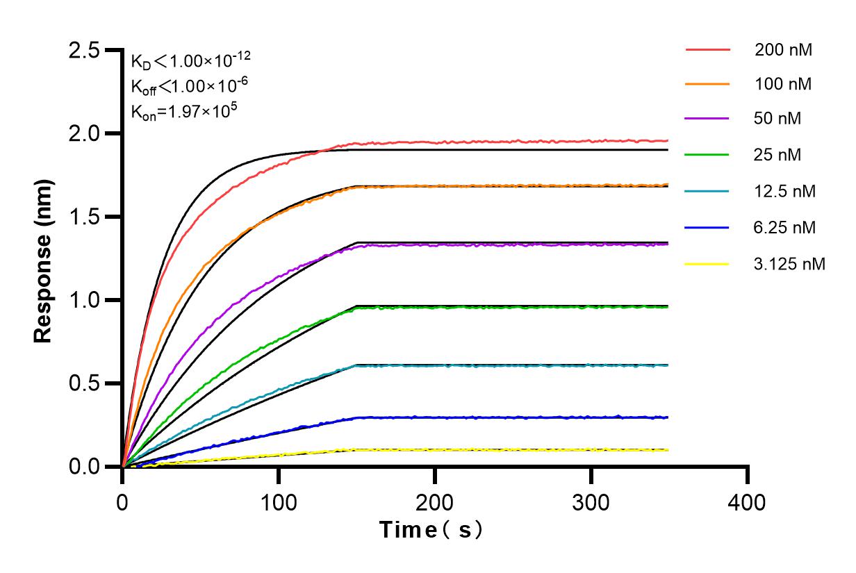 Affinity and Kinetic Characterization of 83042-2-PBS