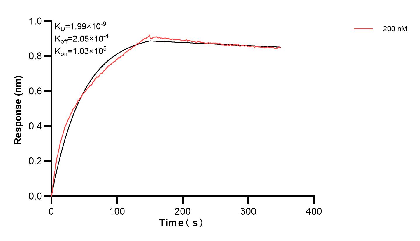 Affinity and Kinetic Characterization of 83056-3-PBS