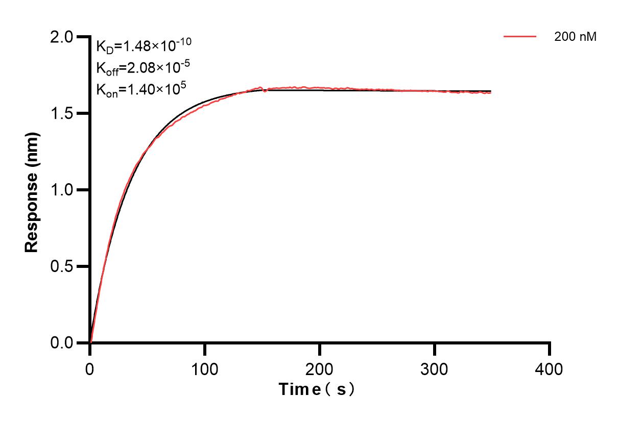 Affinity and Kinetic Characterization of 83056-4-PBS