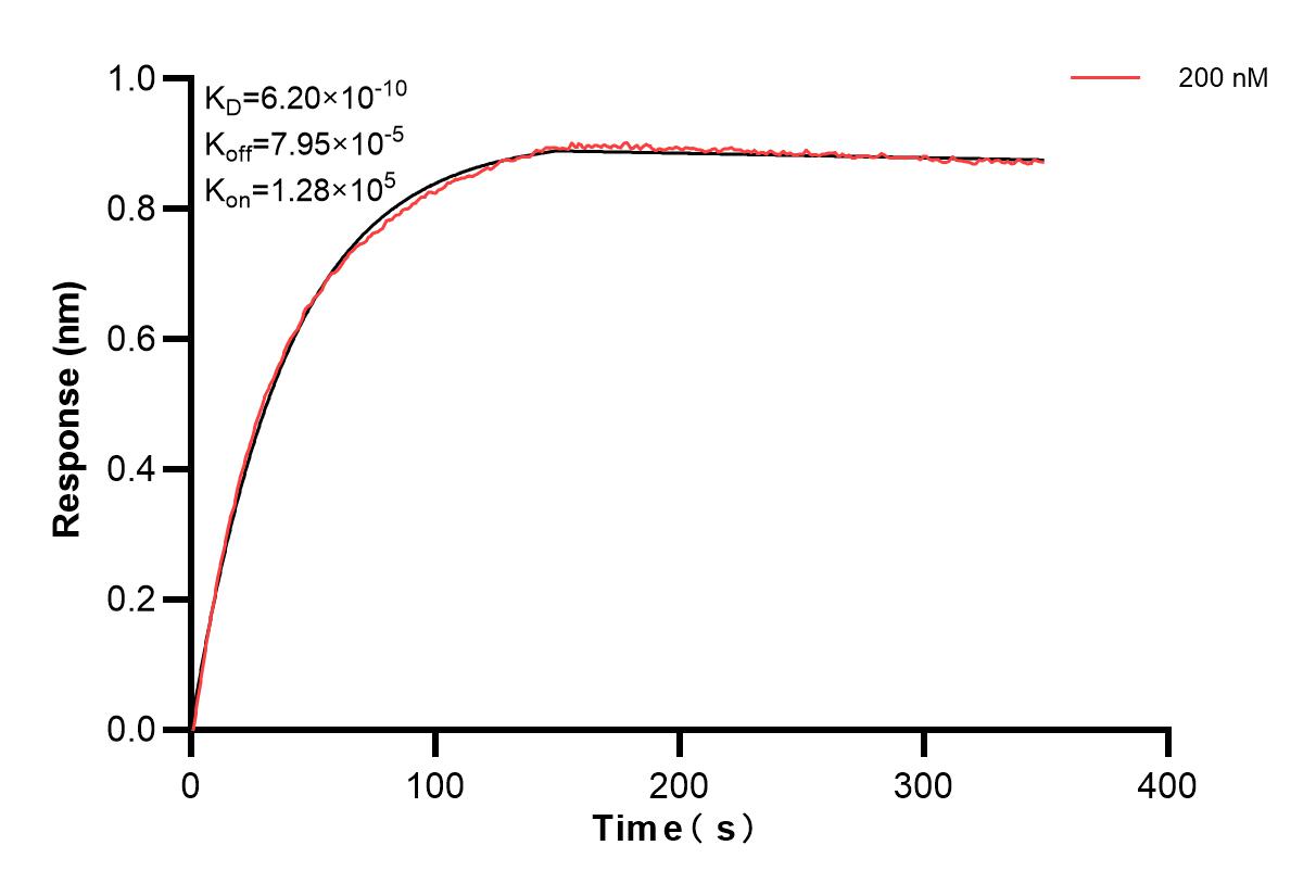 Affinity and Kinetic Characterization of 83057-2-PBS