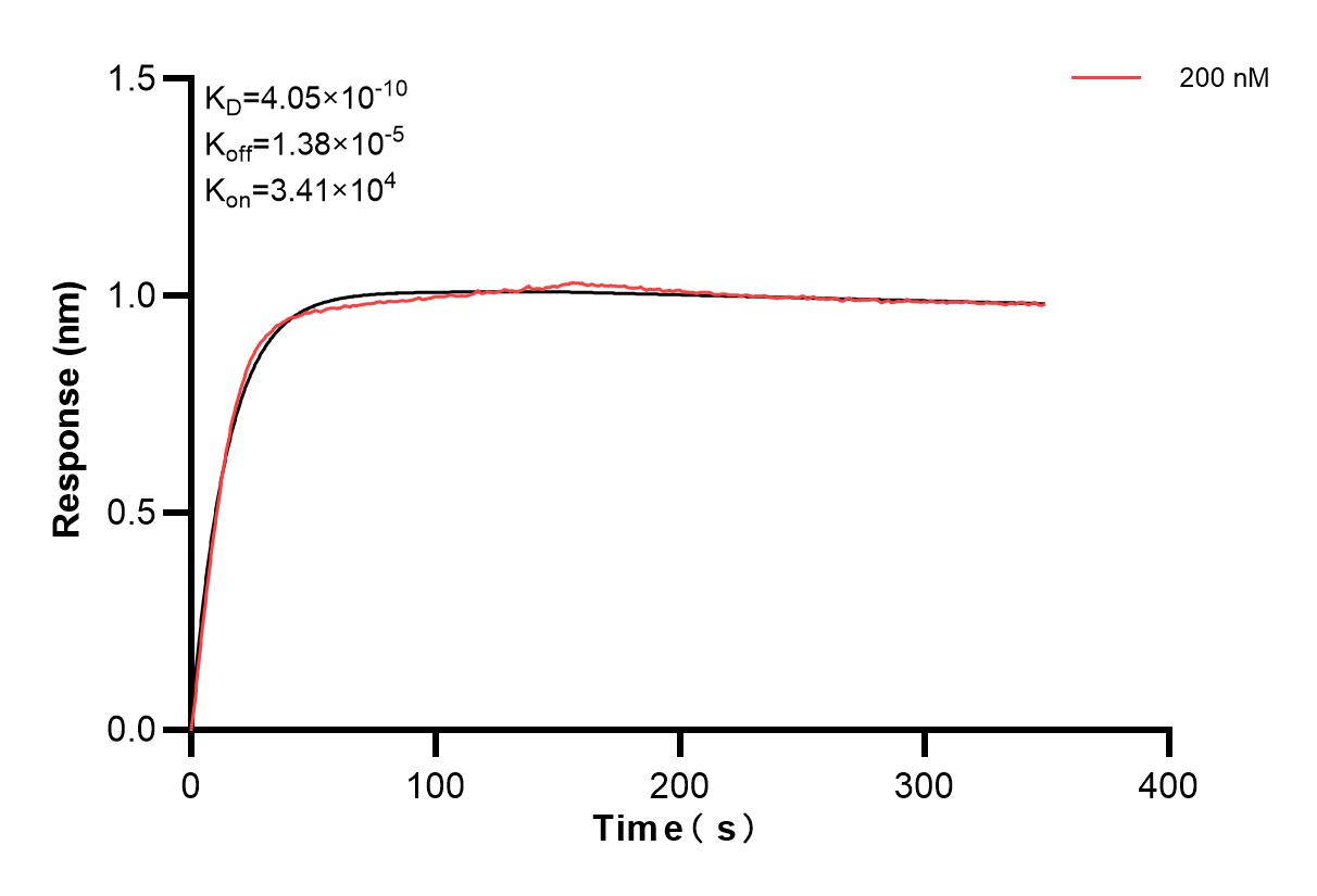 Affinity and Kinetic Characterization of 83057-3-PBS