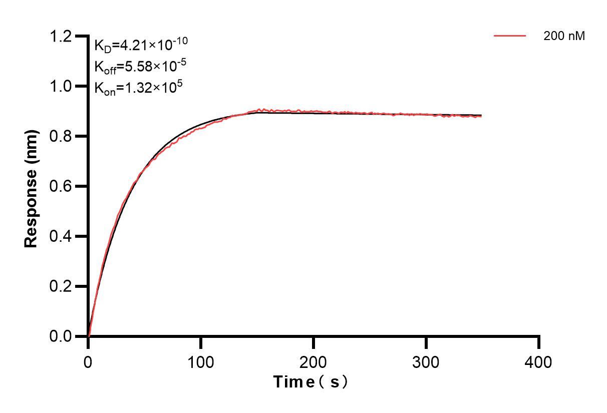 Affinity and Kinetic Characterization of 83057-4-PBS