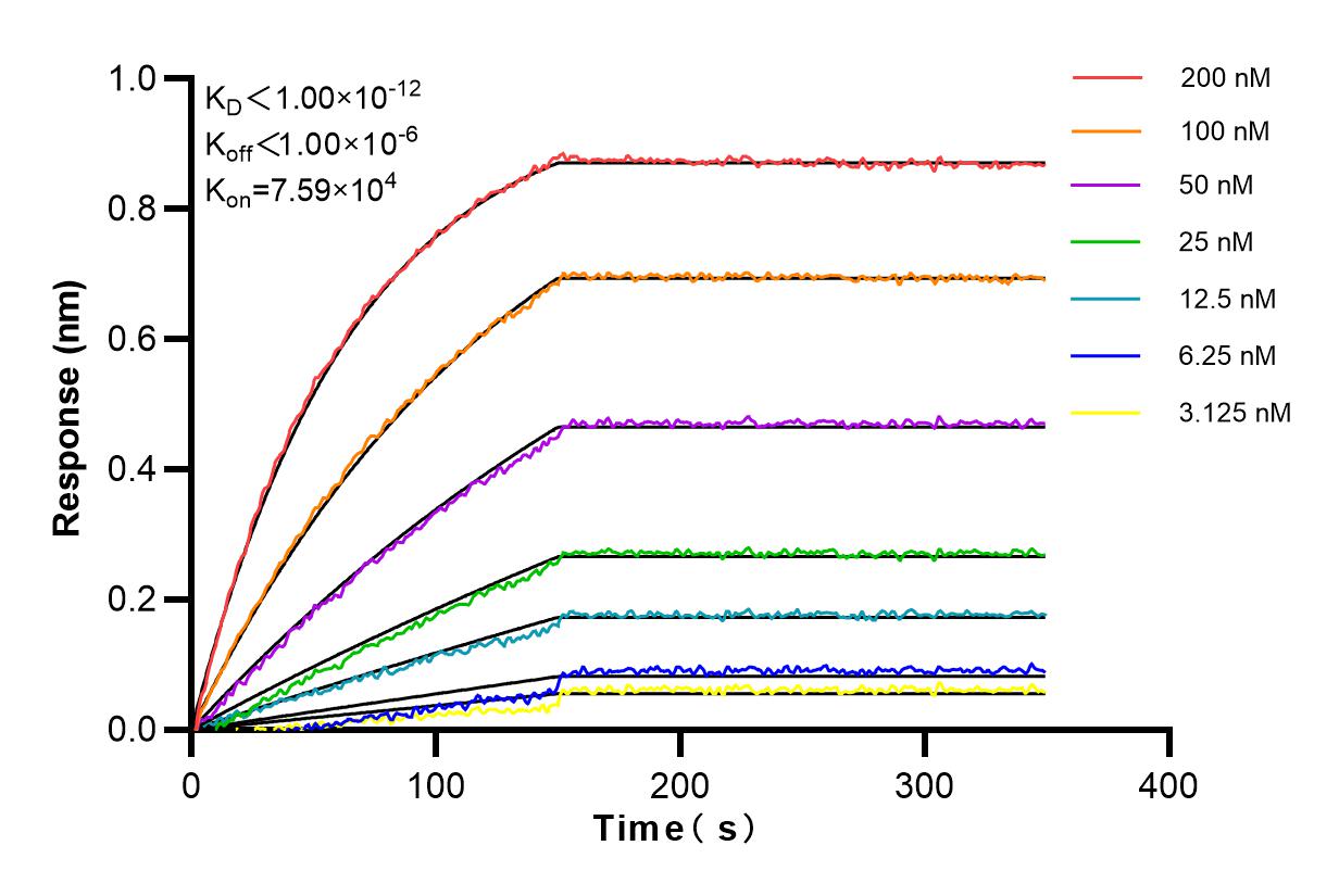 Affinity and Kinetic Characterization of 83057-4-RR