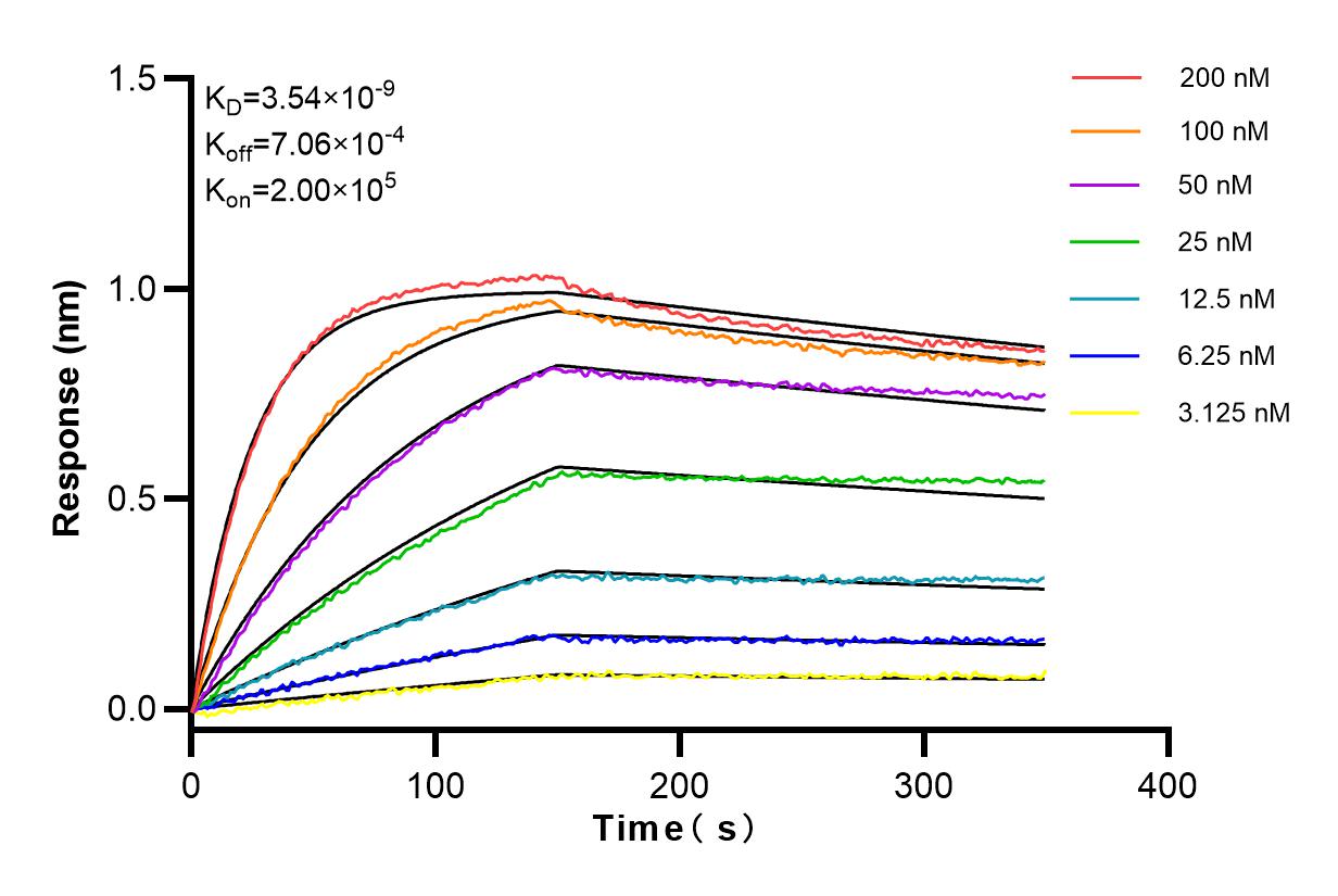 Affinity and Kinetic Characterization of 83059-5-RR