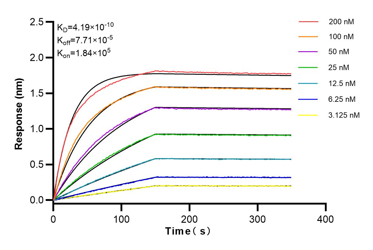 Affinity and Kinetic Characterization of 83067-6-RR