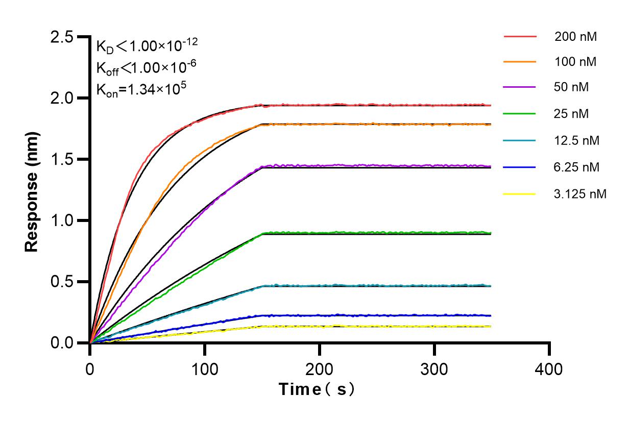 Affinity and Kinetic Characterization of 83083-5-RR