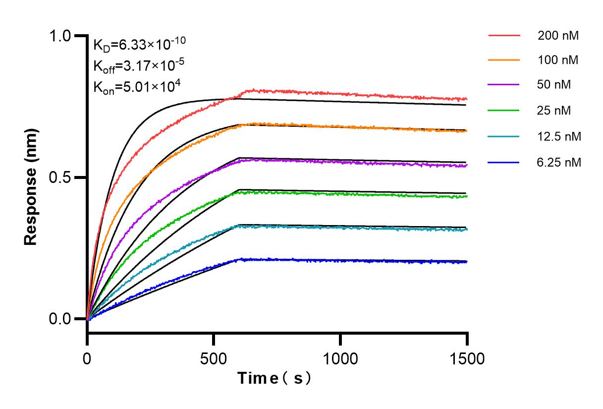 Affinity and Kinetic Characterization of 83099-2-RR