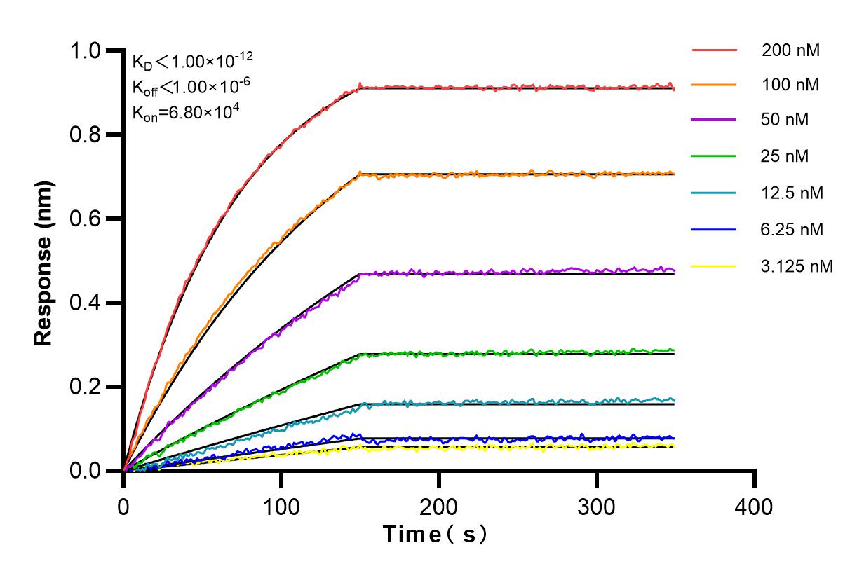 Affinity and Kinetic Characterization of 83100-1-RR