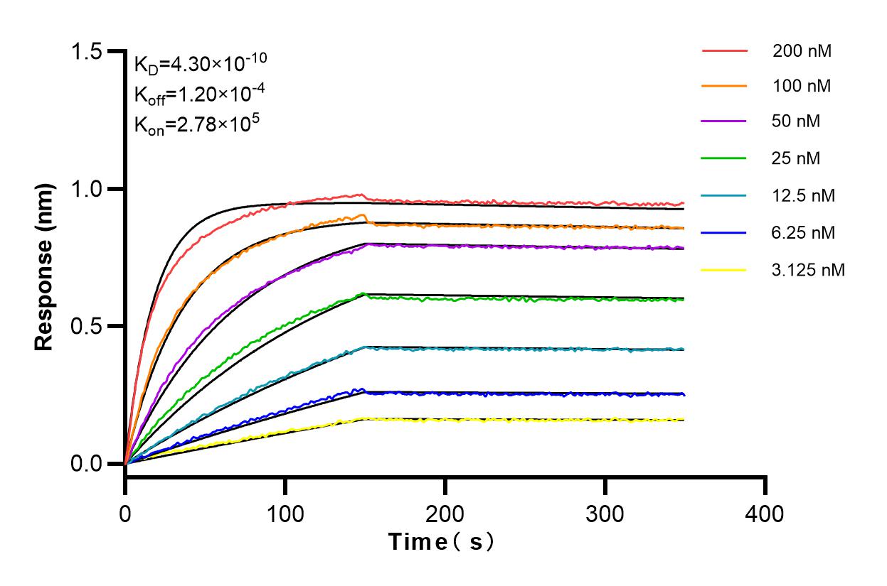 Affinity and Kinetic Characterization of 83101-1-RR