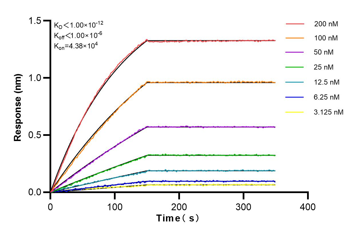 Affinity and Kinetic Characterization of 83102-1-RR