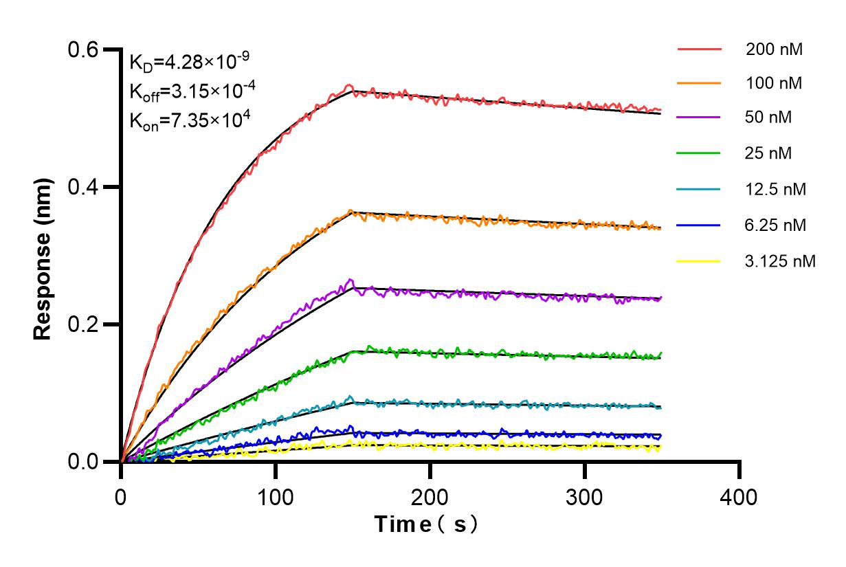 Affinity and Kinetic Characterization of 83105-1-PBS