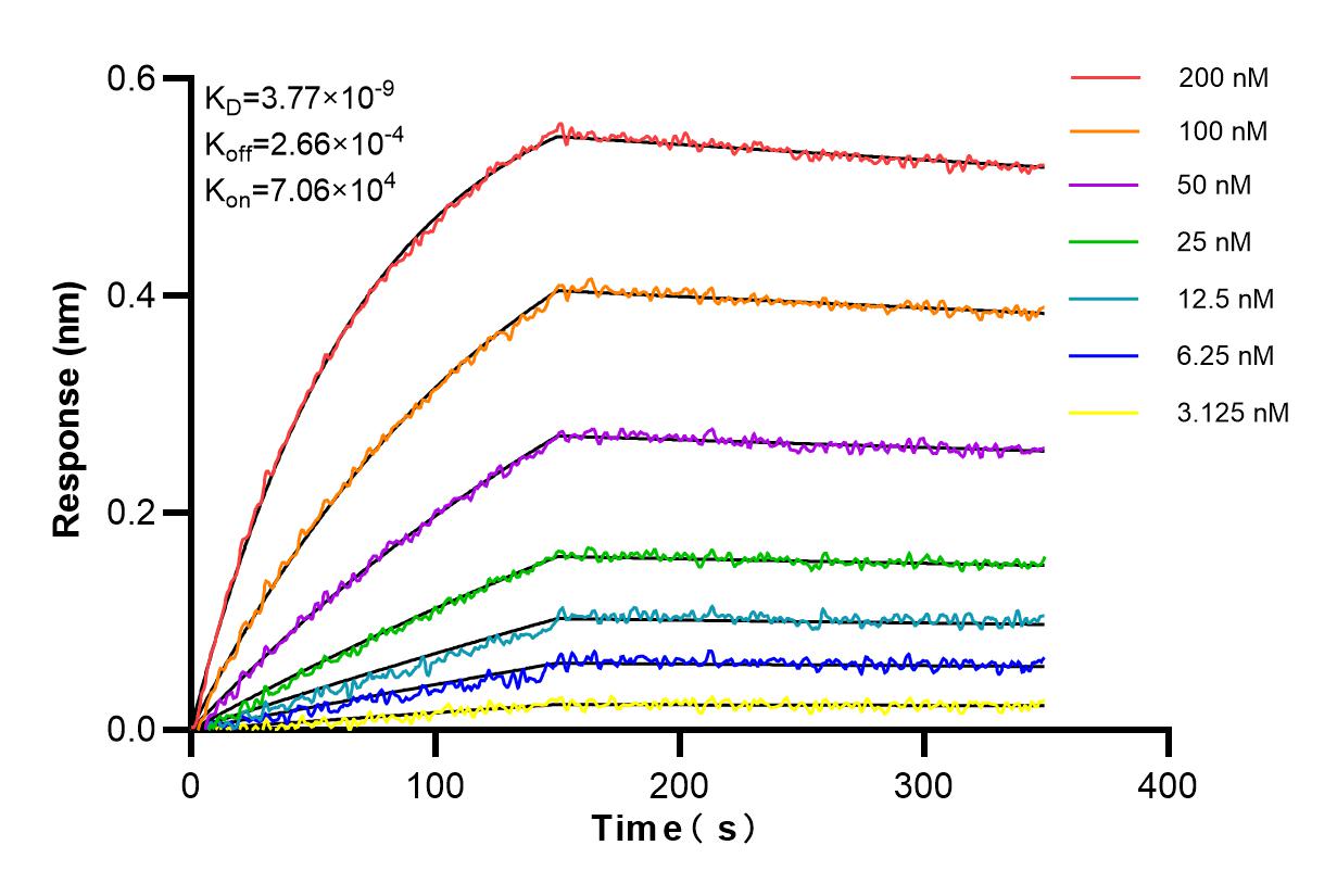 Affinity and Kinetic Characterization of 83105-2-PBS
