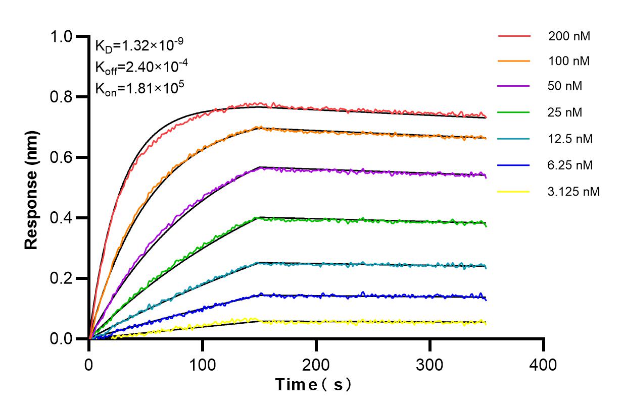 Affinity and Kinetic Characterization of 83105-3-PBS