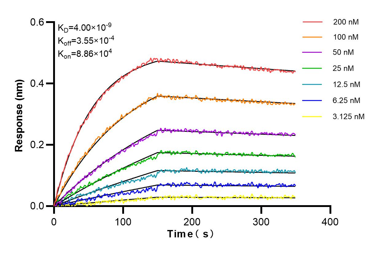 Affinity and Kinetic Characterization of 83105-5-PBS