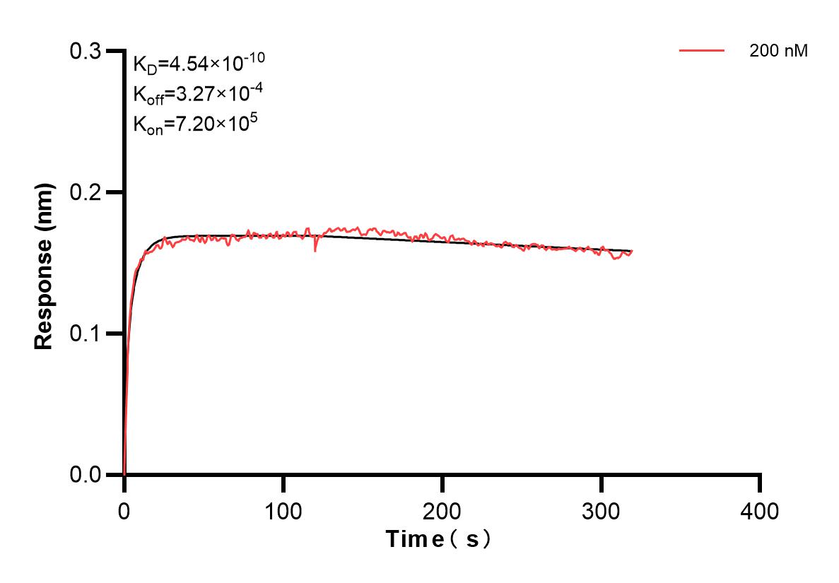 Affinity and Kinetic Characterization of 83111-2-PBS