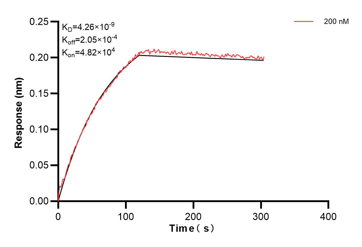 Affinity and Kinetic Characterization of 83112-2-PBS