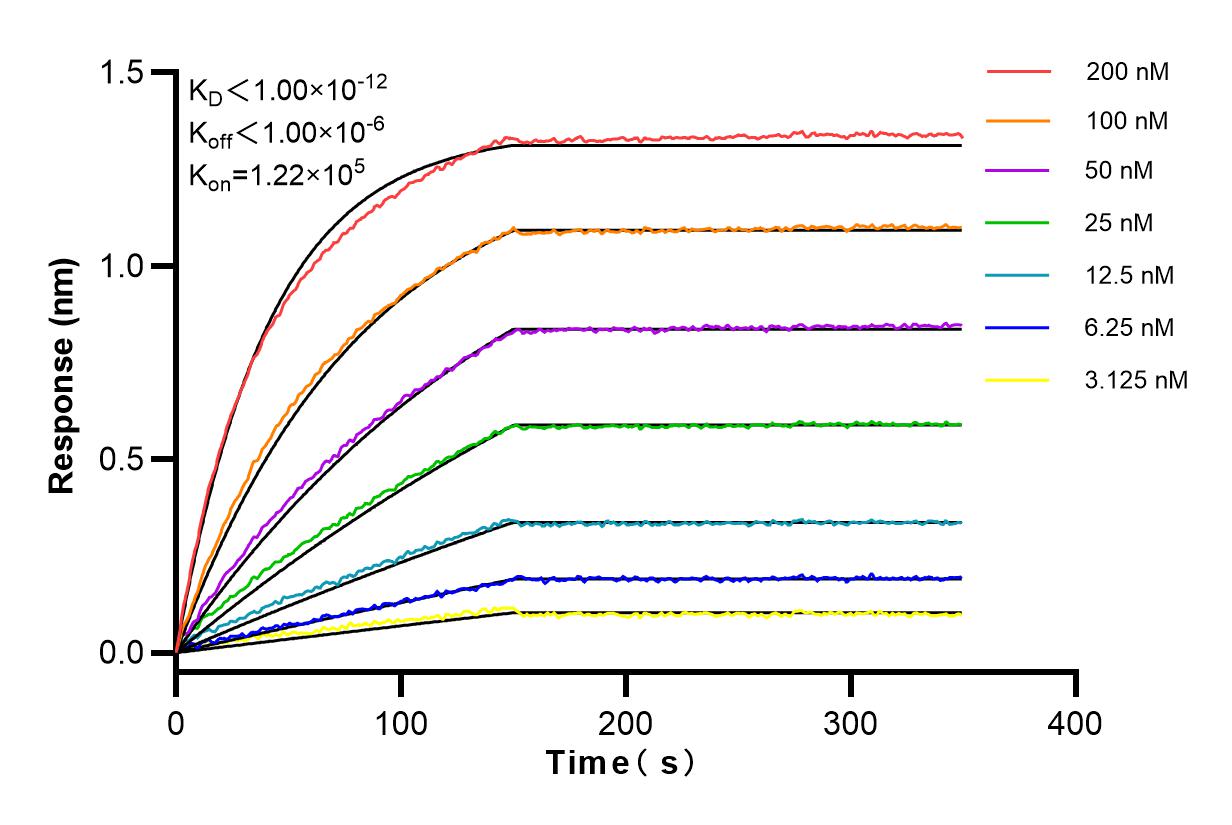 Affinity and Kinetic Characterization of 83116-1-RR