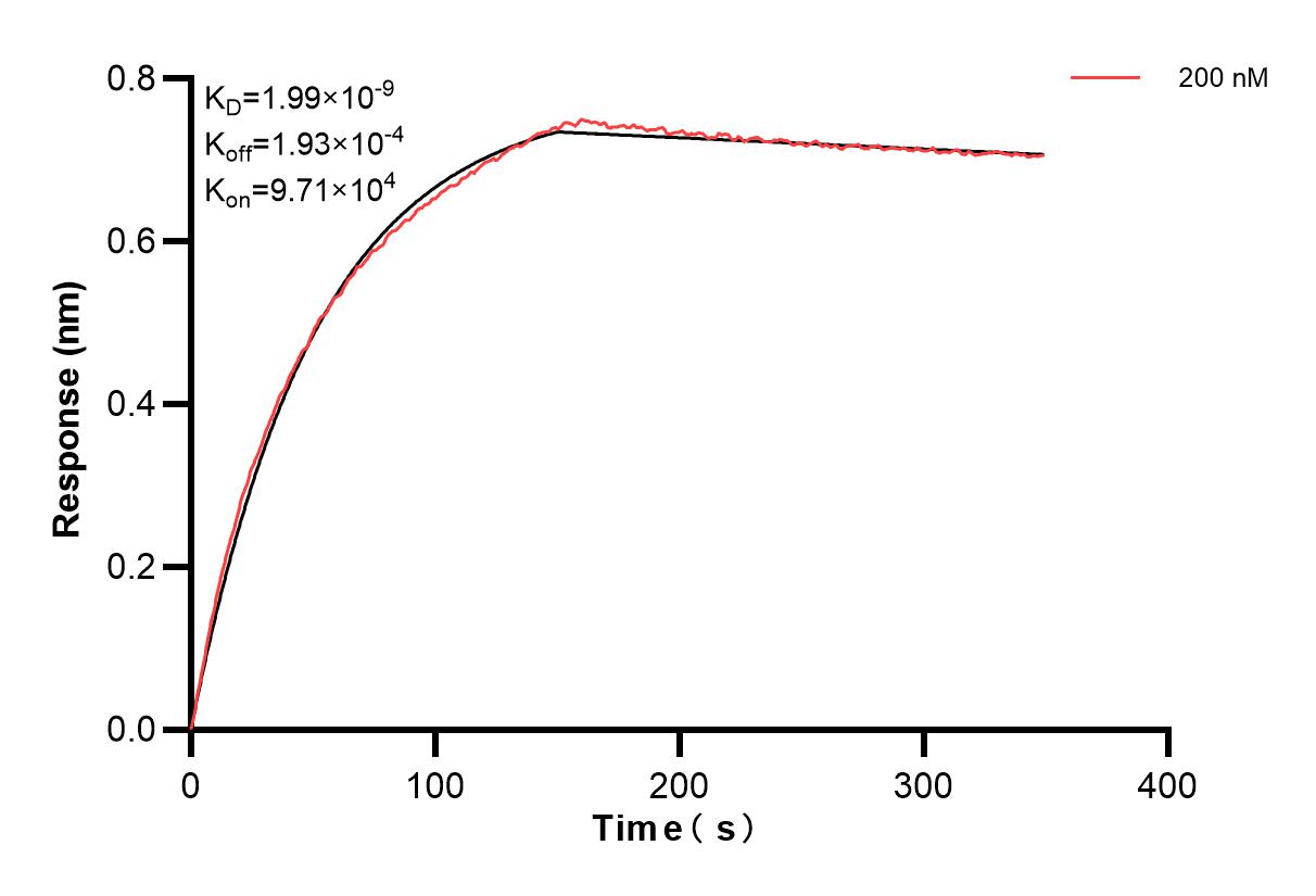 Affinity and Kinetic Characterization of 83120-2-PBS